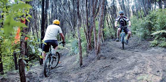 1-Mountain biking riders on trails in Rangihoua